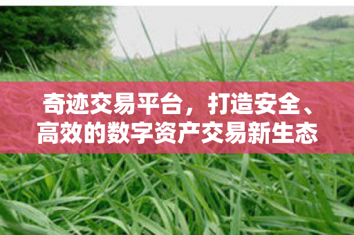 打造安全高效的数字资产交易新生态图片