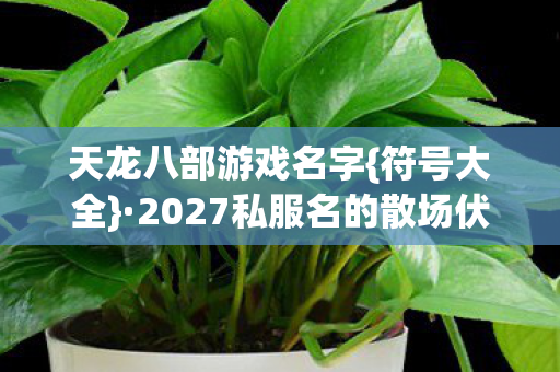 2027私服名的散场伏笔图片