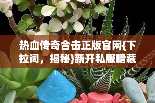 热血传奇合击正版官网图片