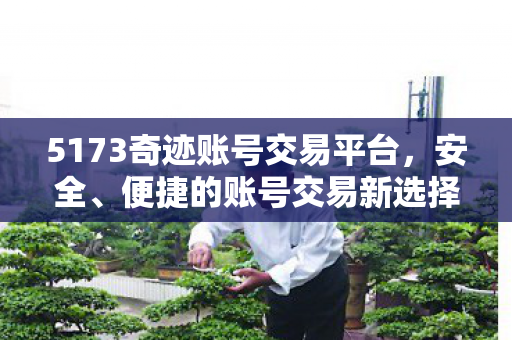 5173奇迹账号交易平台图片
