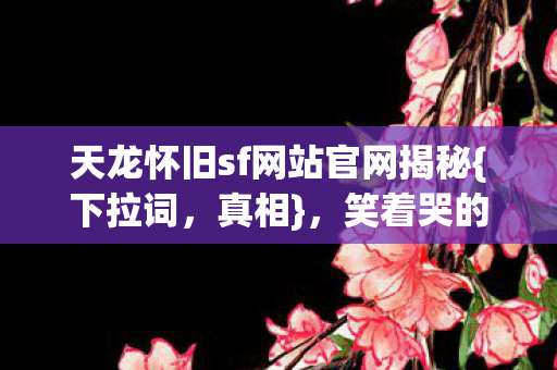 天龙怀旧sf网站官网揭秘图片