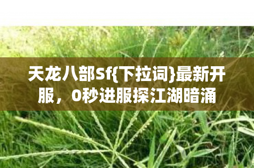 0秒进服探江湖暗涌图片