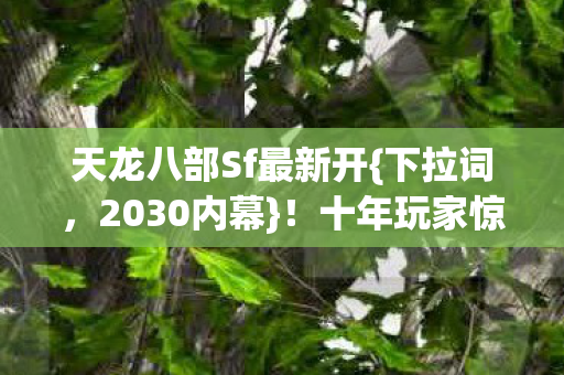 十年玩家惊爆私服终极揭秘图片