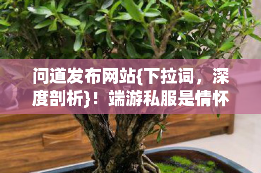 端游私服是情怀or陷阱图片
