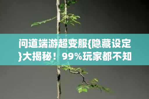 问道端游超变服图片