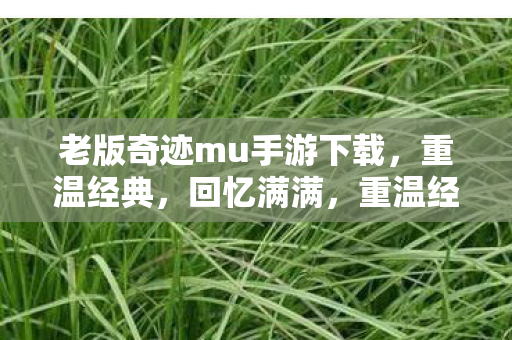 老版奇迹mu手游下载图片