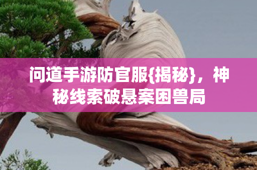 神秘线索破悬案困兽局图片