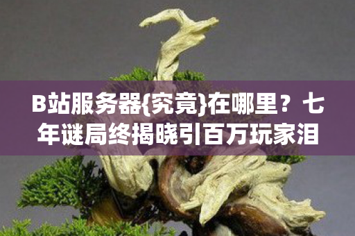 七年谜局终揭晓引百万玩家泪目图片