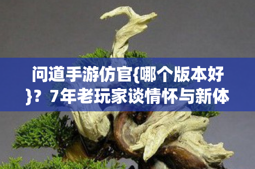 7年老玩家谈情怀与新体验图片