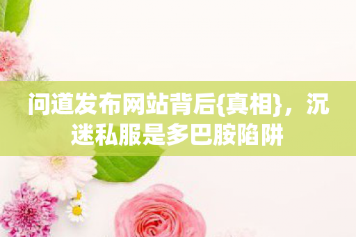 沉迷私服是多巴胺陷阱图片