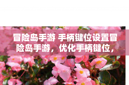 冒险岛手游 手柄键位设置冒险岛手游,优化手柄键位,提升游戏体验,冒险岛手游手柄键位优化,提升游戏体验 冒险岛手游 手柄键位设置冒险岛手游,优化手柄键位,提升游戏体验,冒险岛手游手柄键位优化,提升游戏体验