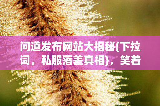 问道发布网站大揭秘图片