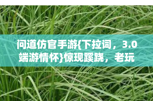 问道仿官手游图片