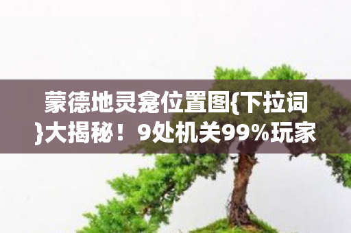 蒙德地灵龛位置图{下拉词}大揭秘!9处机关99%玩家未发现 蒙德地灵龛位置图{下拉词}大揭秘!9处机关99%玩家未发现