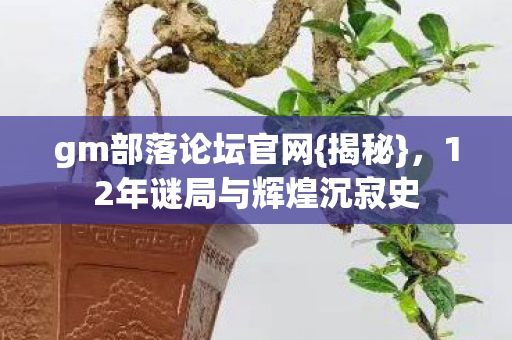 12年谜局与辉煌沉寂史图片