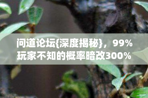 玩家不知的概率暗改300图片