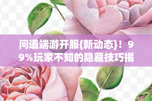 玩家不知的隐藏技巧揭秘图片