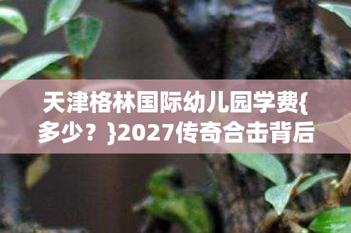 2027传奇合击背后的故事图片