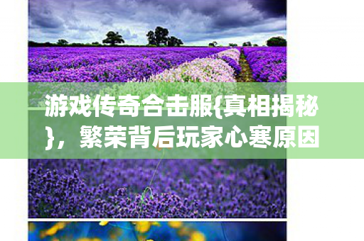 繁荣背后玩家心寒原因图片