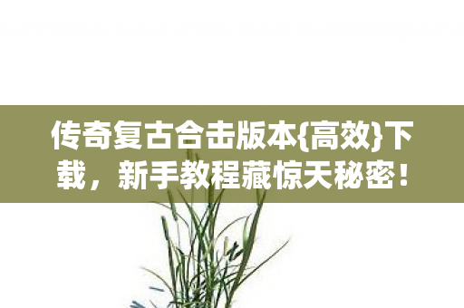 新手教程藏惊天秘密图片