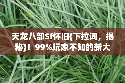 玩家不知的新大陆秘密图片