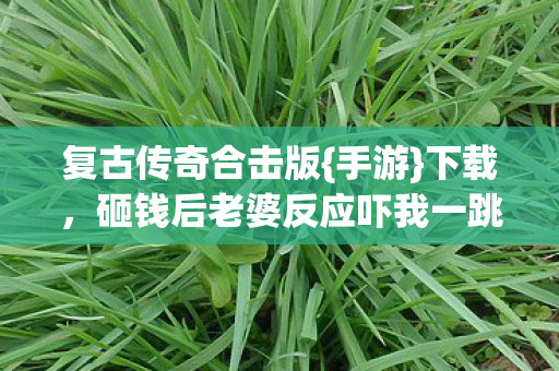 砸钱后老婆反应吓我一跳图片