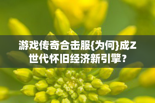 成Z世代怀旧经济新引擎图片