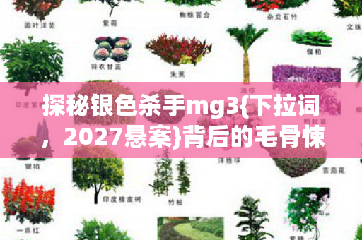 探秘银色杀手mg3{下拉词,2027悬案}背后的毛骨悚然真相 探秘银色杀手mg3{下拉词,2027悬案}背后的毛骨悚然真相