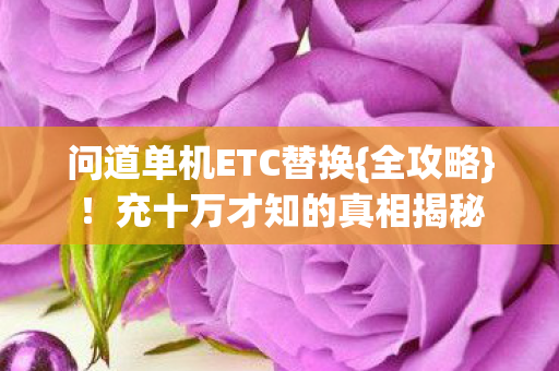 充十万才知的真相揭秘图片
