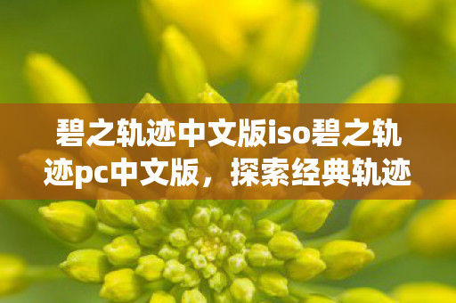 碧之轨迹中文版iso碧之轨迹pc中文版图片