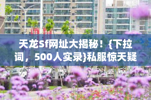 天龙Sf网址大揭秘图片