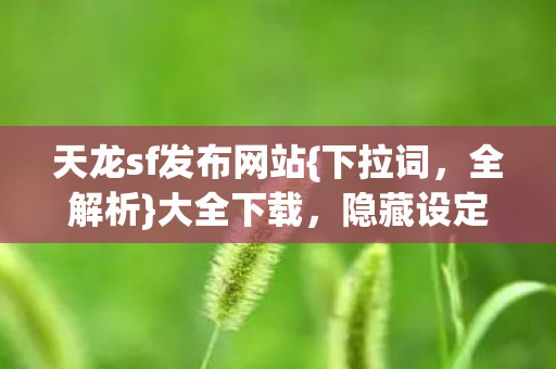 天龙sf发布网站图片
