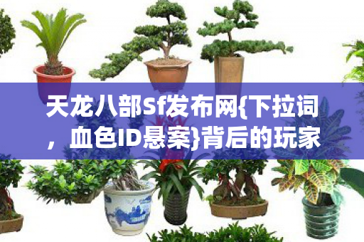 天龙八部Sf发布网图片
