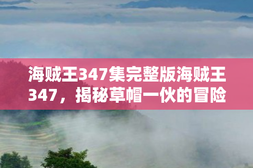 海贼王347集完整版海贼王347图片