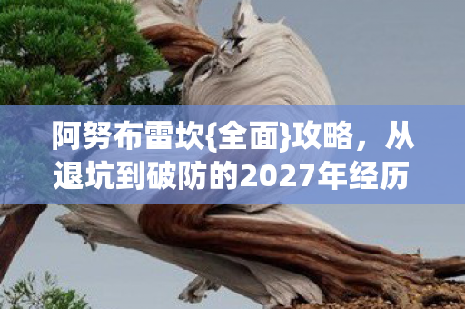 阿努布雷坎{全面}攻略,从退坑到破防的2027年经历 阿努布雷坎{全面}攻略,从退坑到破防的2027年经历