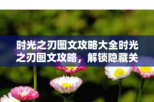 时光之刃图文攻略大全时光之刃图文攻略图片