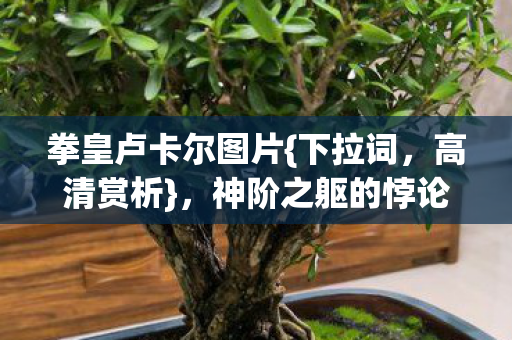 拳皇卢卡尔图片{下拉词，高清赏析}，神阶之躯的悖论与毁灭枷锁