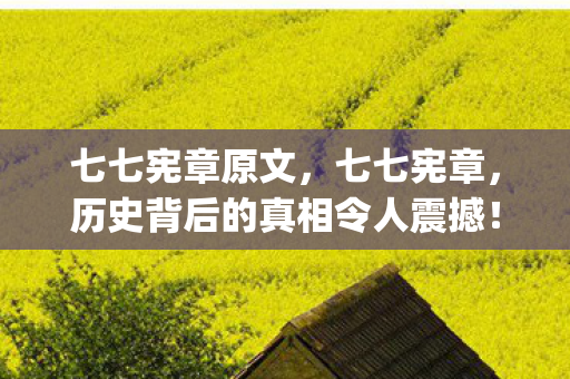 七七宪章原文,七七宪章,历史背后的真相令人震撼!{历史意义} 七七宪章原文,七七宪章,历史背后的真相令人震撼!{历史意义}