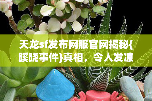 天龙sf发布网服官网揭秘图片