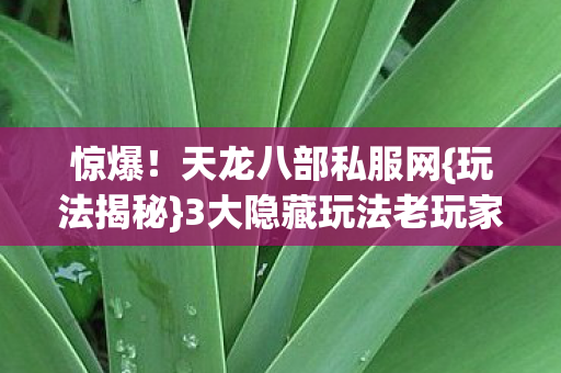 3大隐藏玩法老玩家不知图片