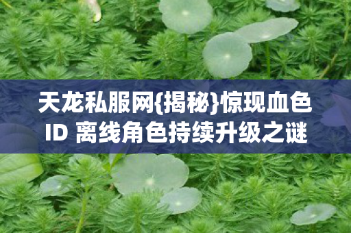 惊现血色ID 离线角色持续升级之谜图片