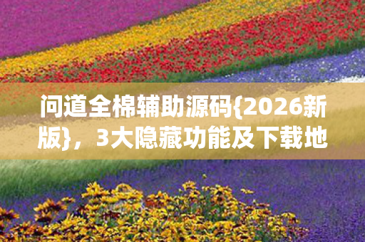 3大隐藏功能及下载地址揭秘图片