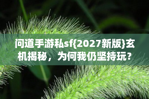 问道手游私sf图片