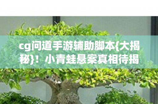 cg问道手游辅助脚本图片