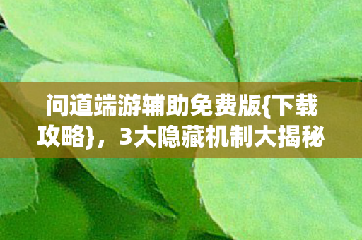 问道端游辅助免费版图片