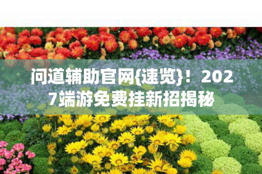2027端游免费挂新招揭秘图片