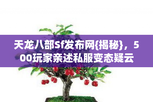 500玩家亲述私服变态疑云图片