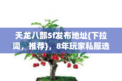 8年玩家私服选择纠结指南图片