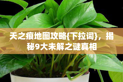 天之痕地图攻略{下拉词},揭秘9大未解之谜真相 天之痕地图攻略{下拉词},揭秘9大未解之谜真相