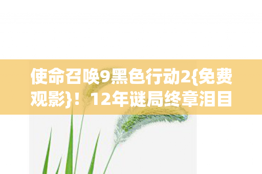 使命召唤9黑色行动2{免费观影}!12年谜局终章泪目 使命召唤9黑色行动2{免费观影}!12年谜局终章泪目